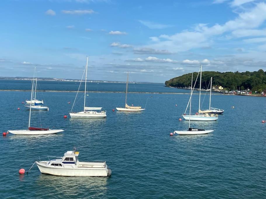 Honey * Totland (Isle Of Wight)