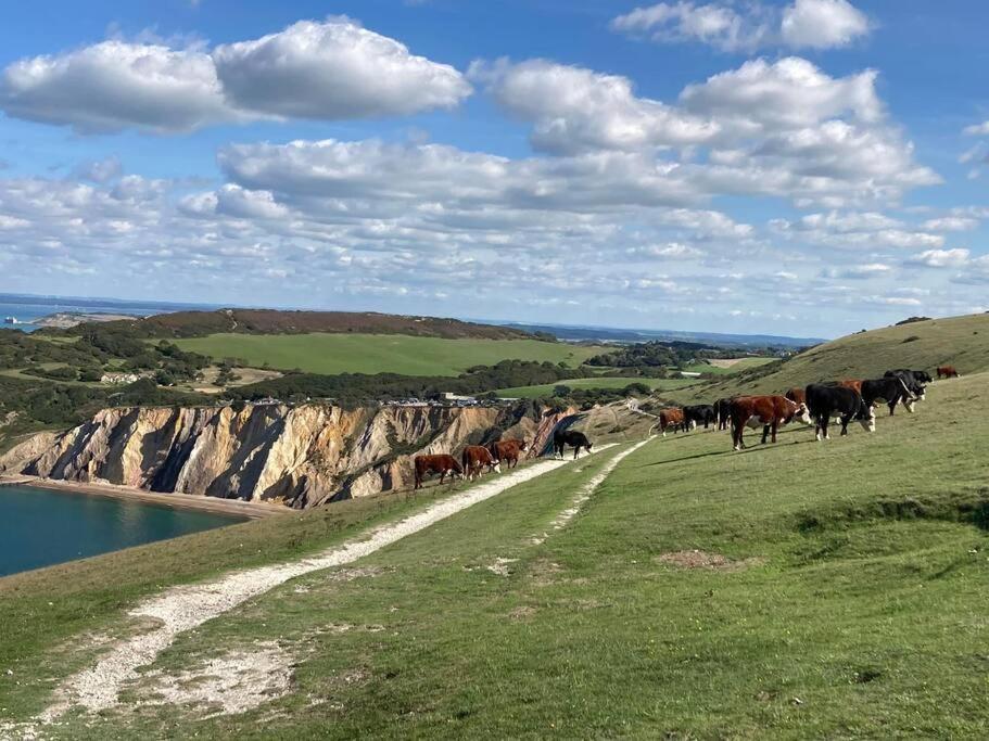 Honey Дом отдыха Totland (Isle Of Wight)